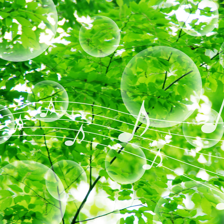 癒しの音楽（ＣＤ）